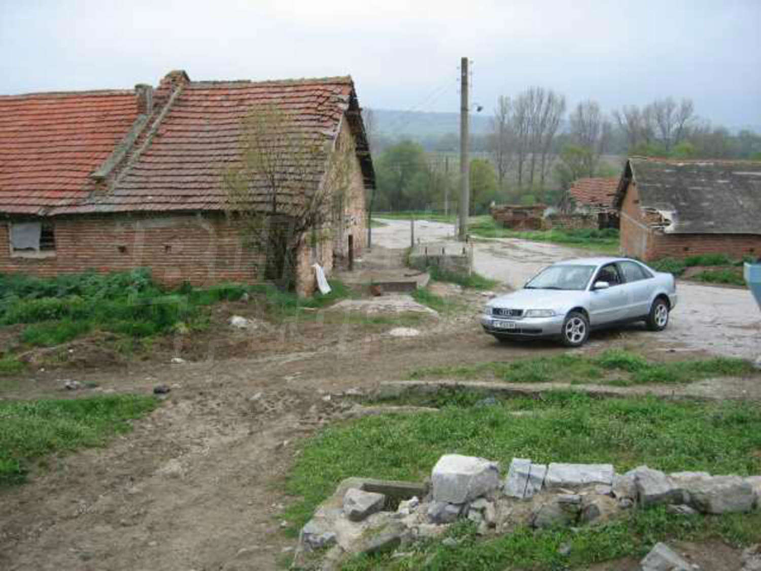Gallery Picture 18