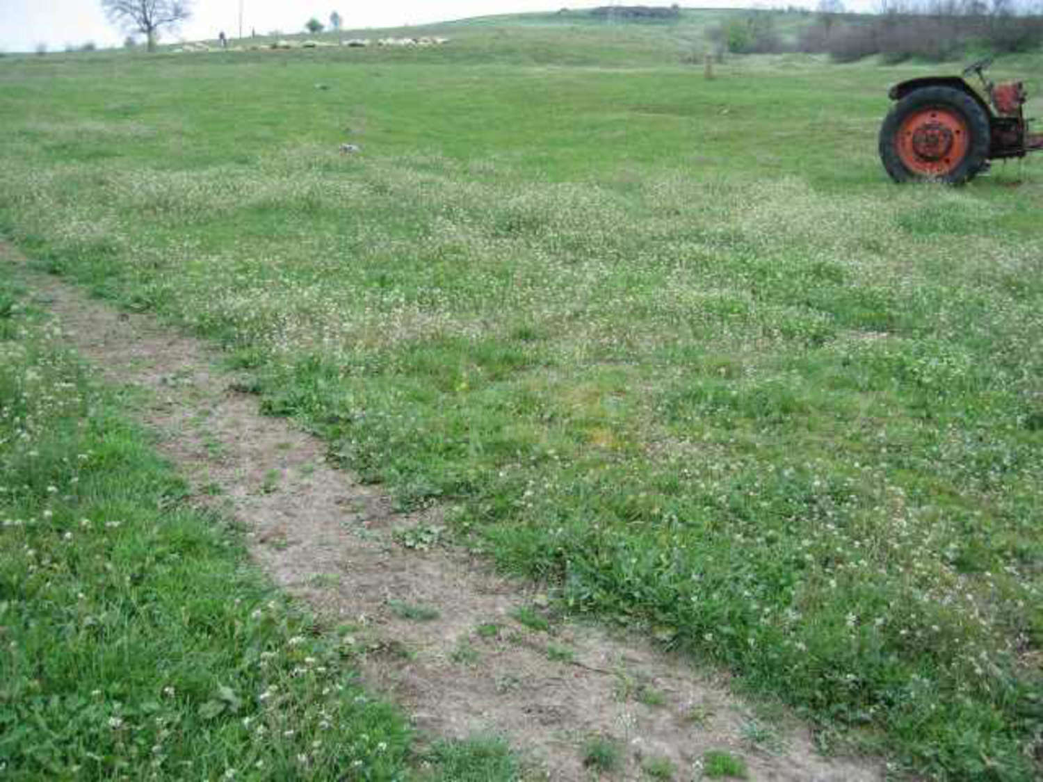 Gallery Picture 20