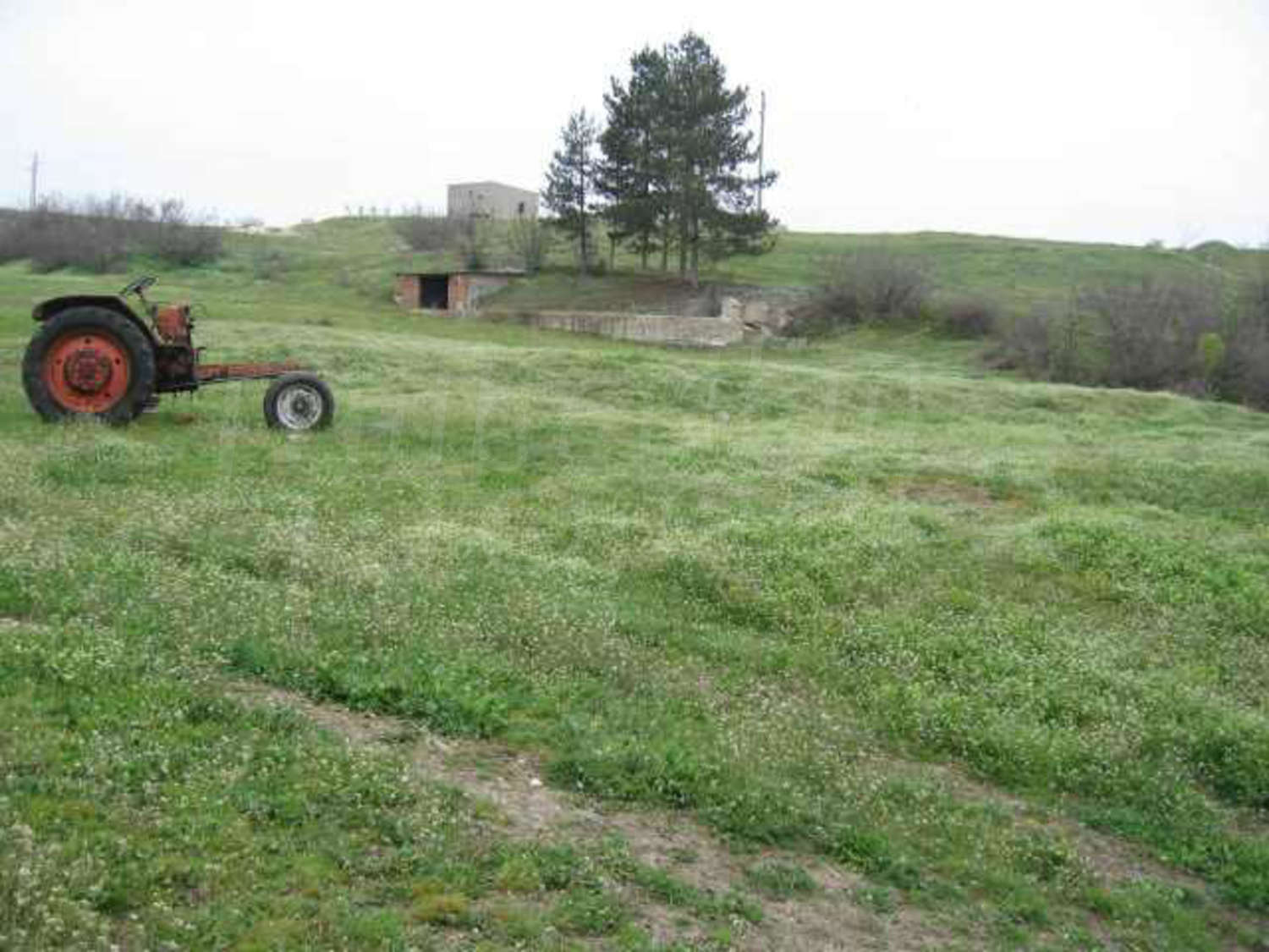 Gallery Picture 22