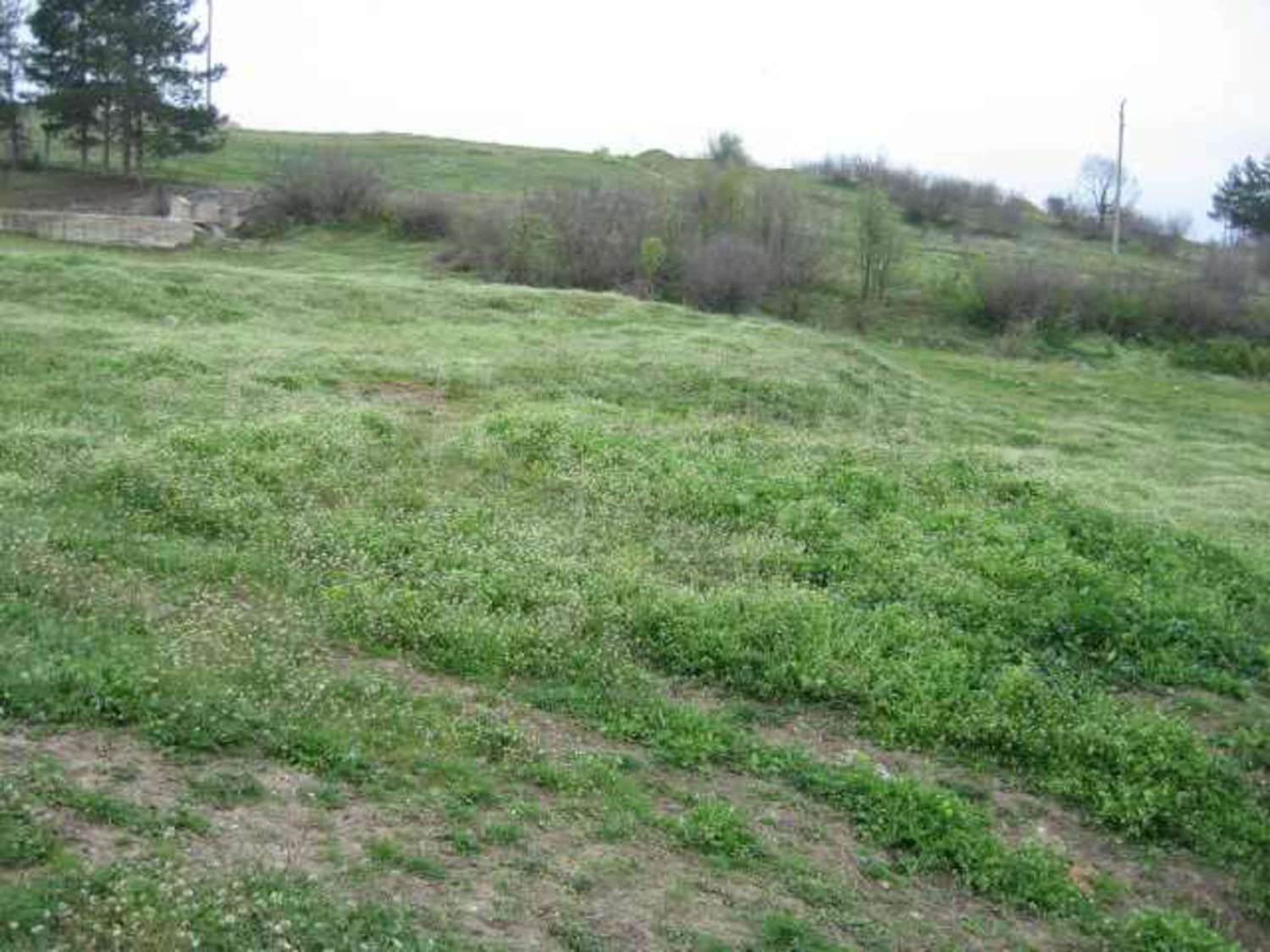 Gallery Picture 23