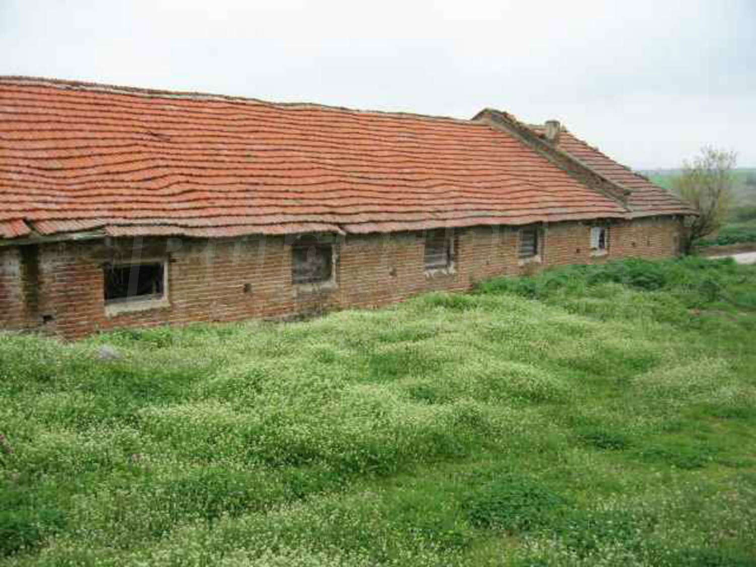 Gallery Picture 27