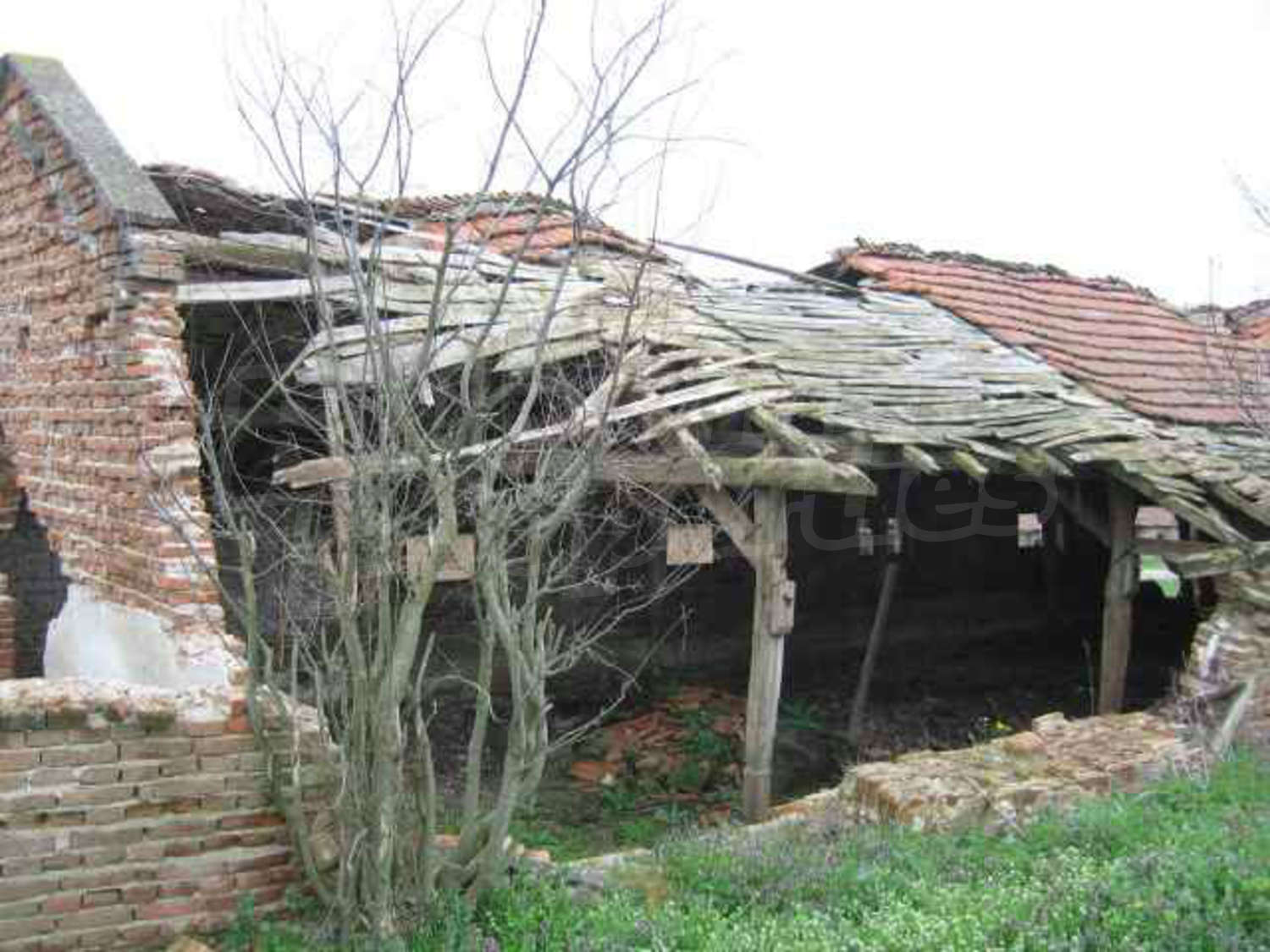 Gallery Picture 28