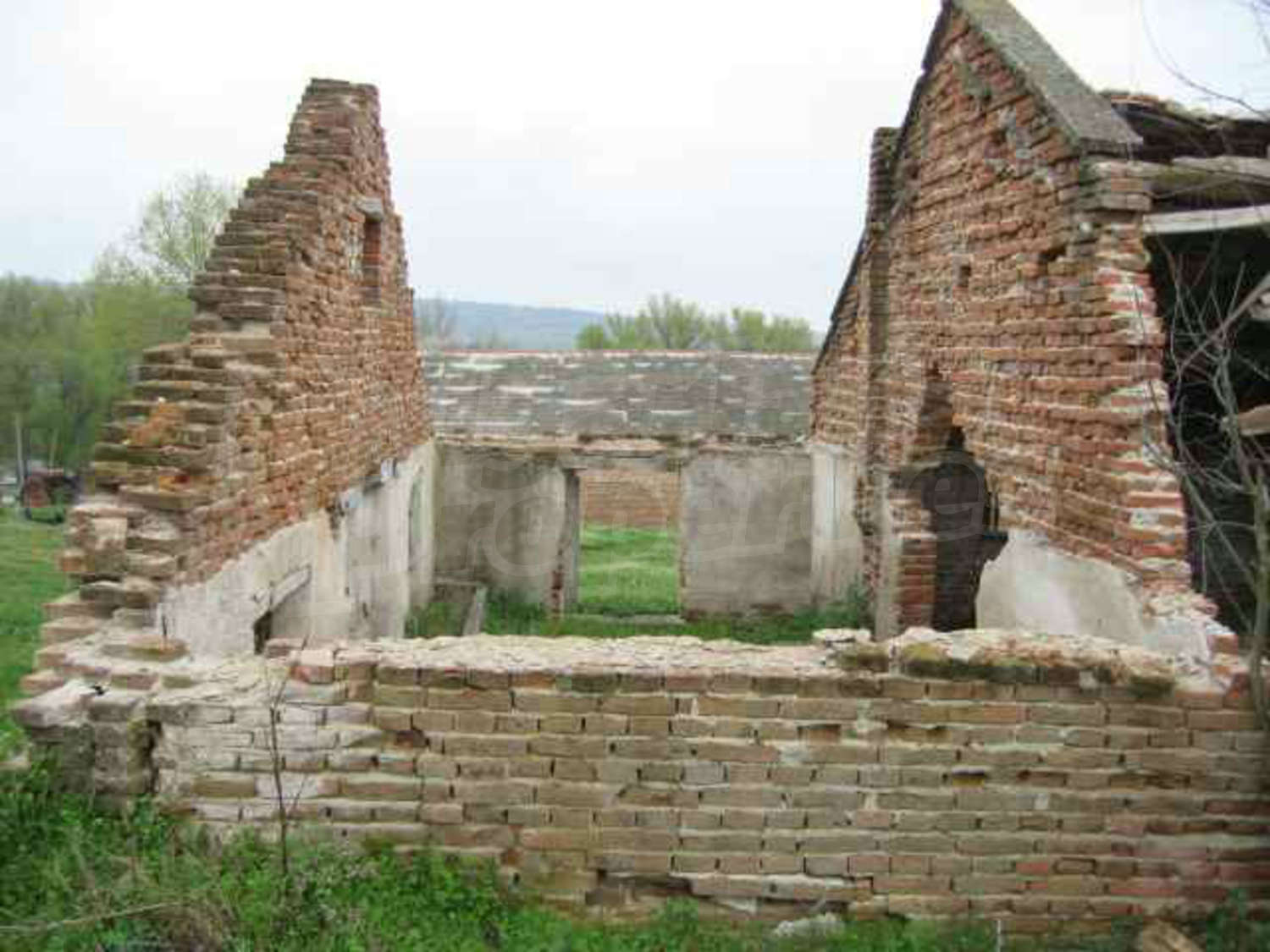 Gallery Picture 29