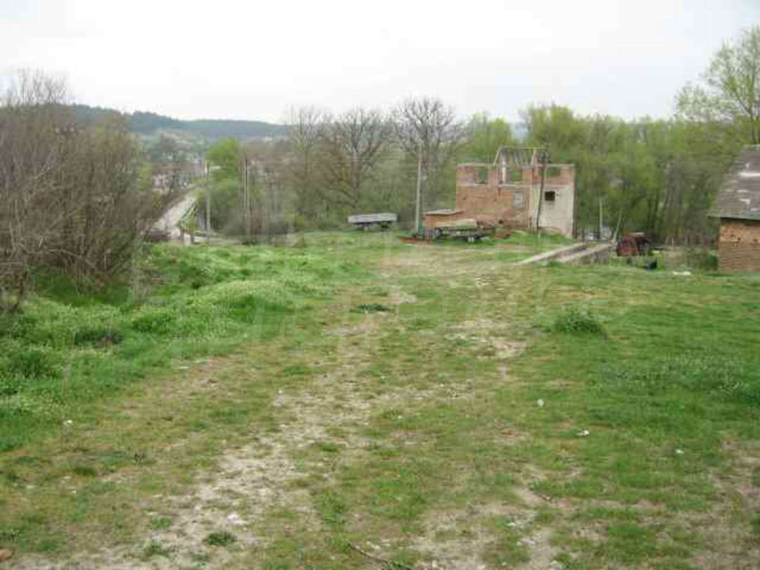 Gallery Picture 31