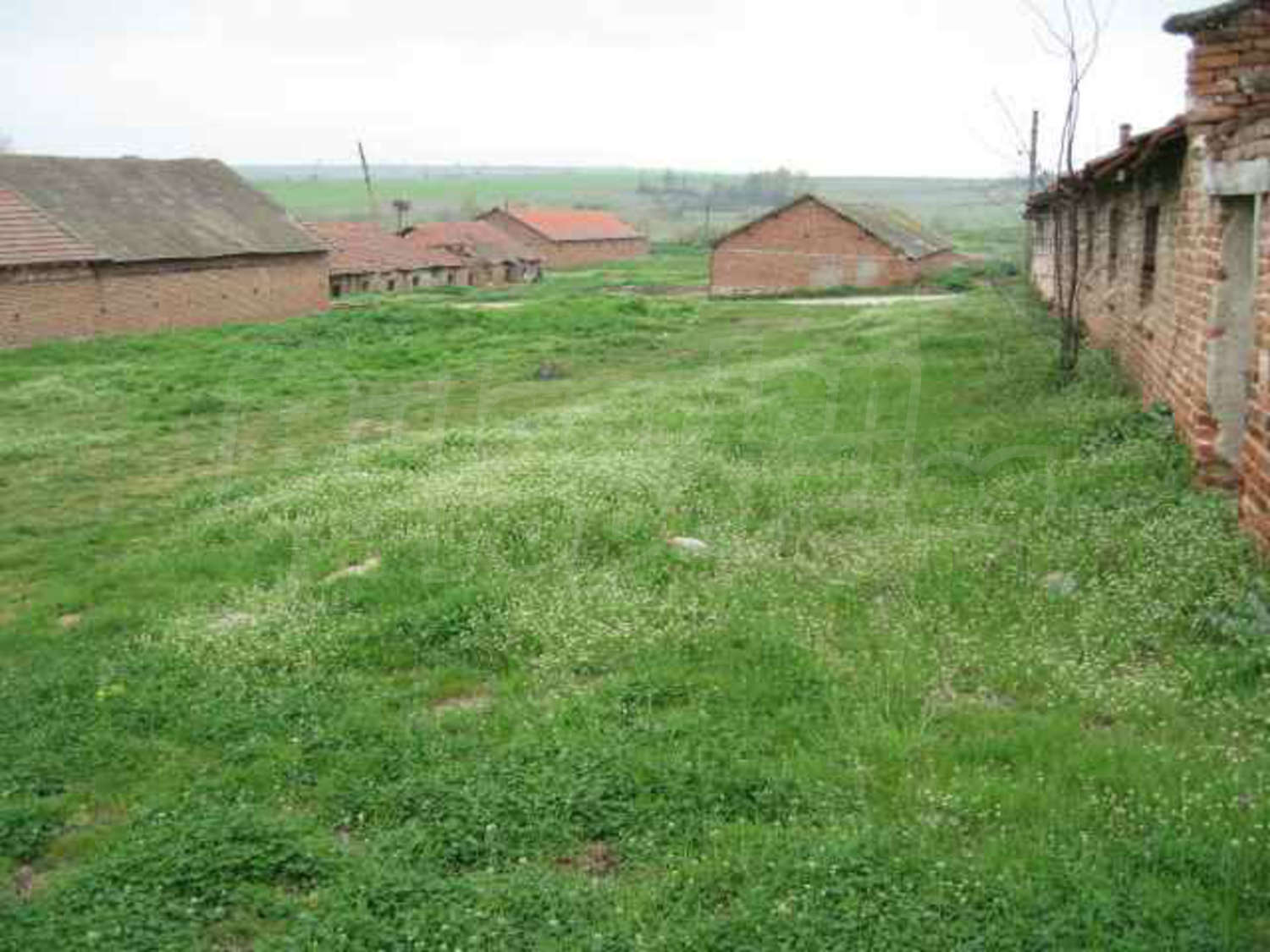 Gallery Picture 34