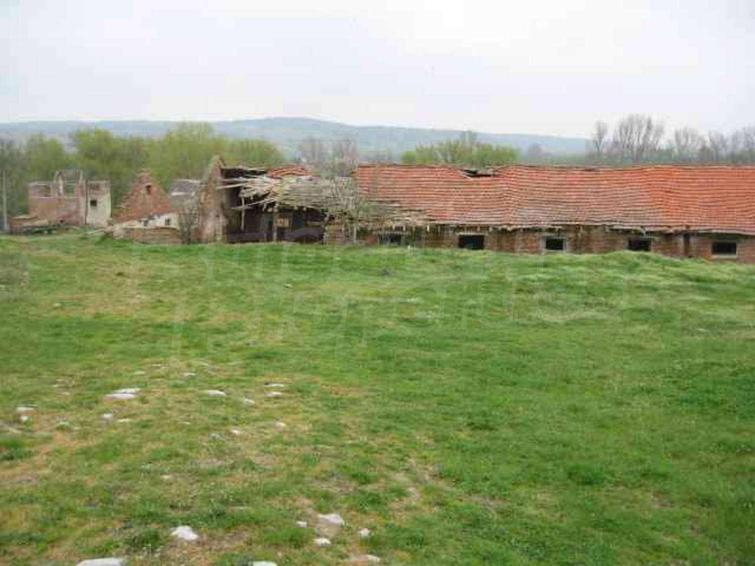 Gallery Picture 35