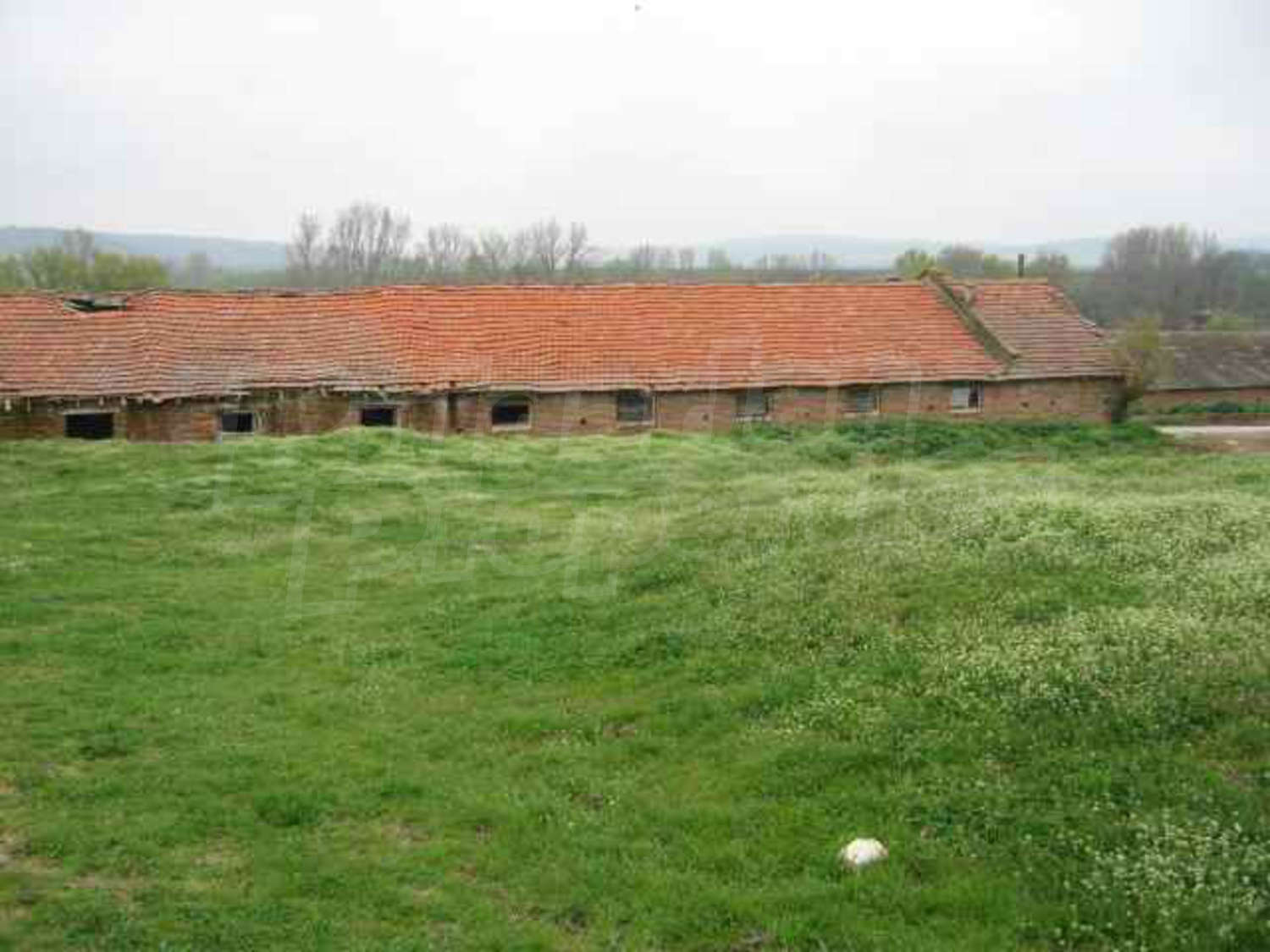 Gallery Picture 36