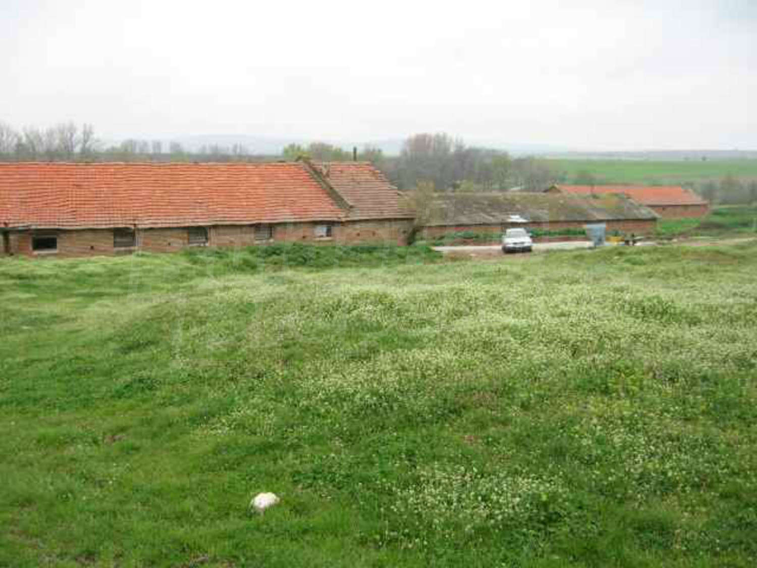 Gallery Picture 37