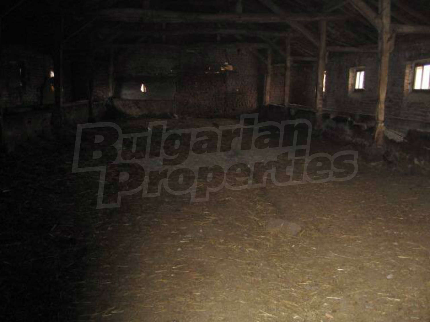 Gallery Picture 5
