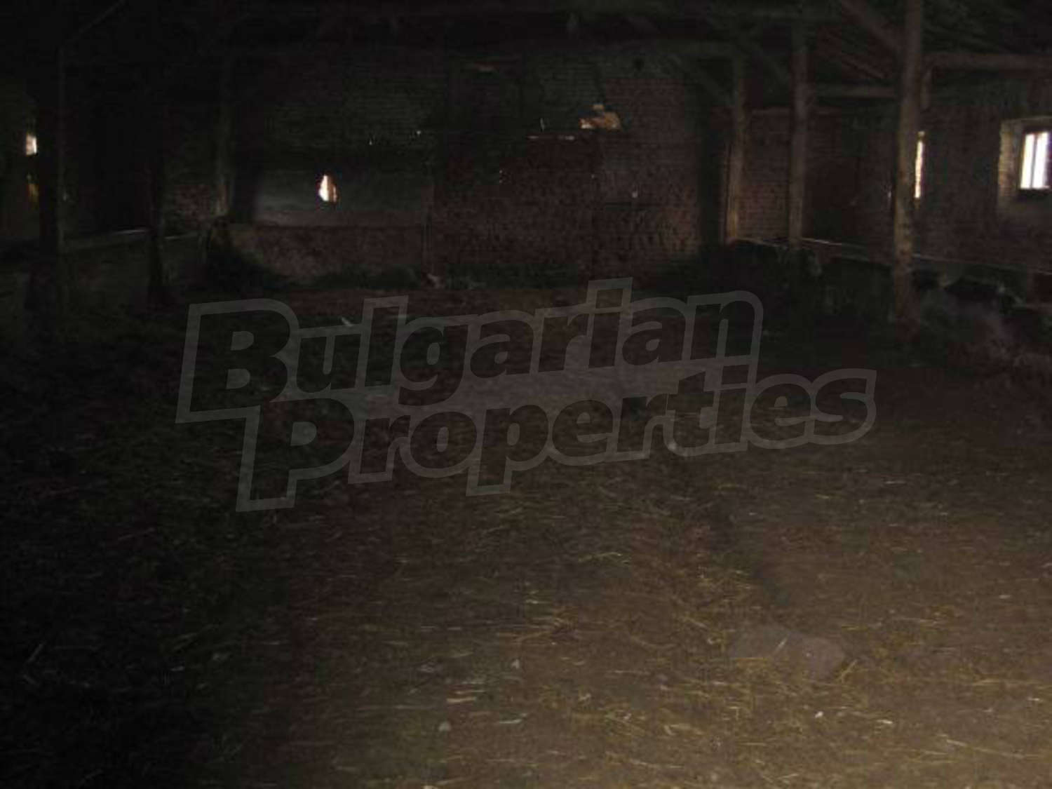 Gallery Picture 6