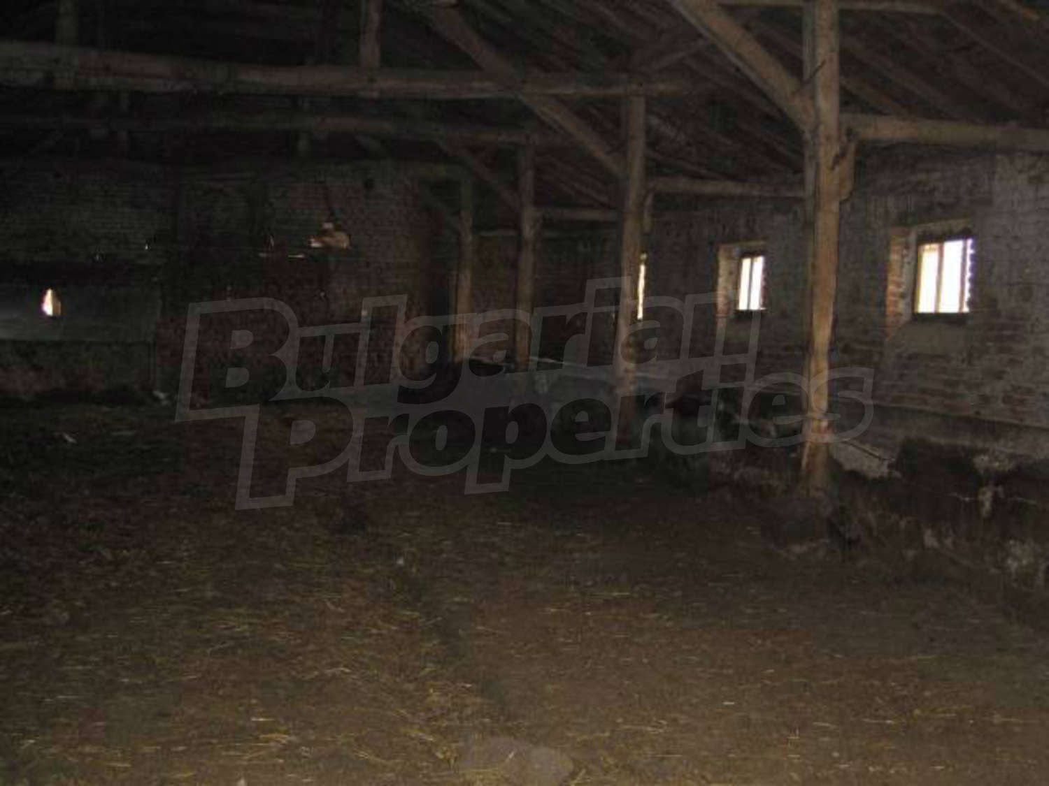 Gallery Picture 7