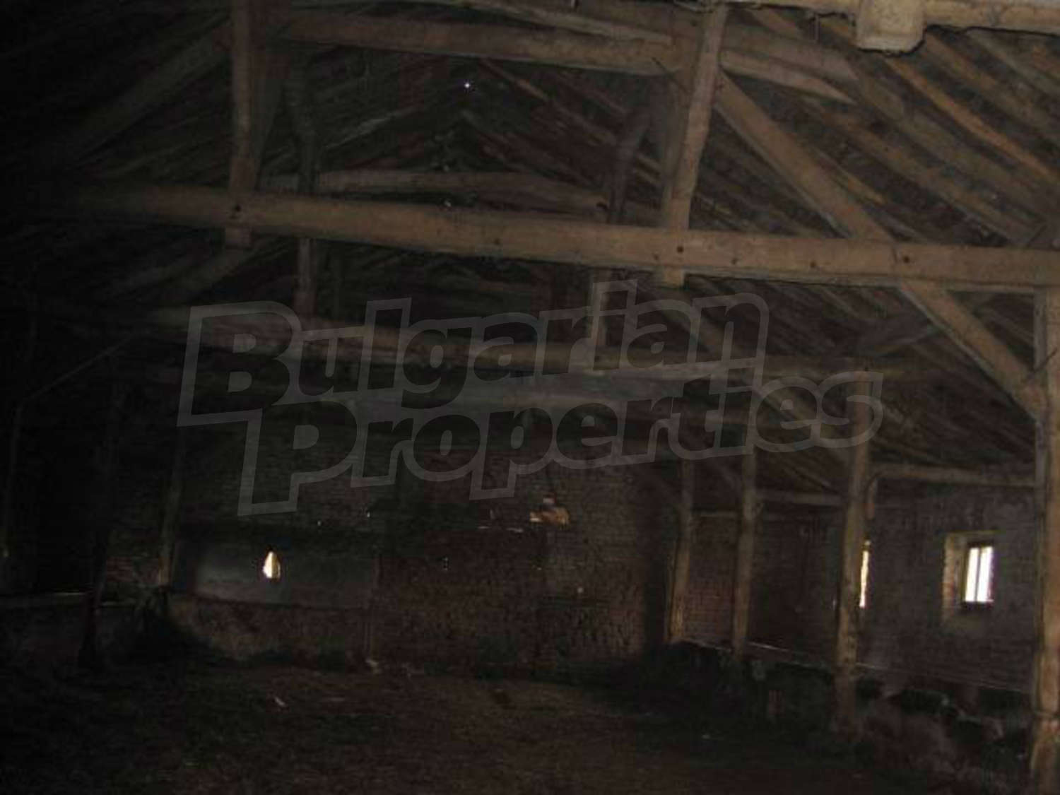 Gallery Picture 8