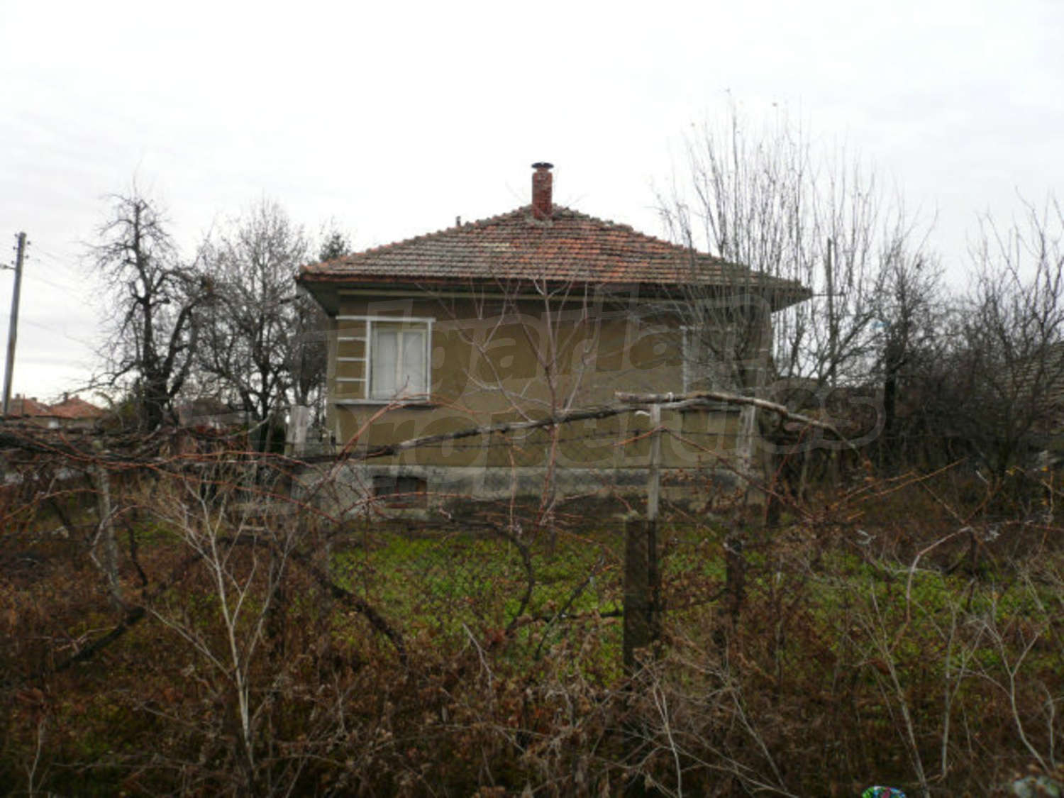 Gallery Picture 5