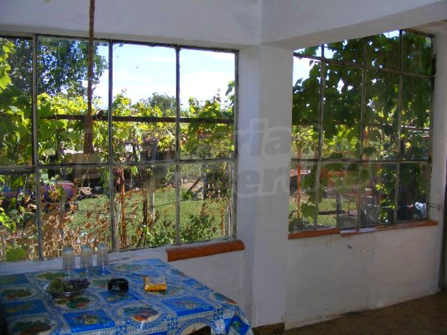 Gallery Picture 10