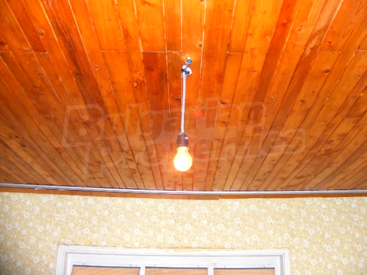 Gallery Picture 23