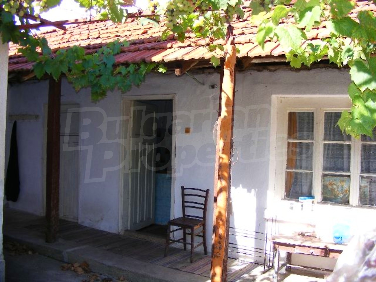 Gallery Picture 26