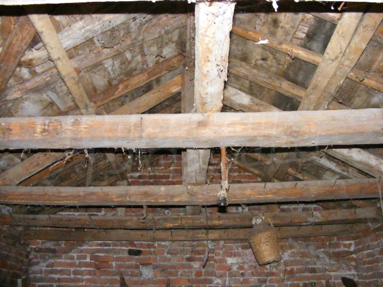 Gallery Picture 31