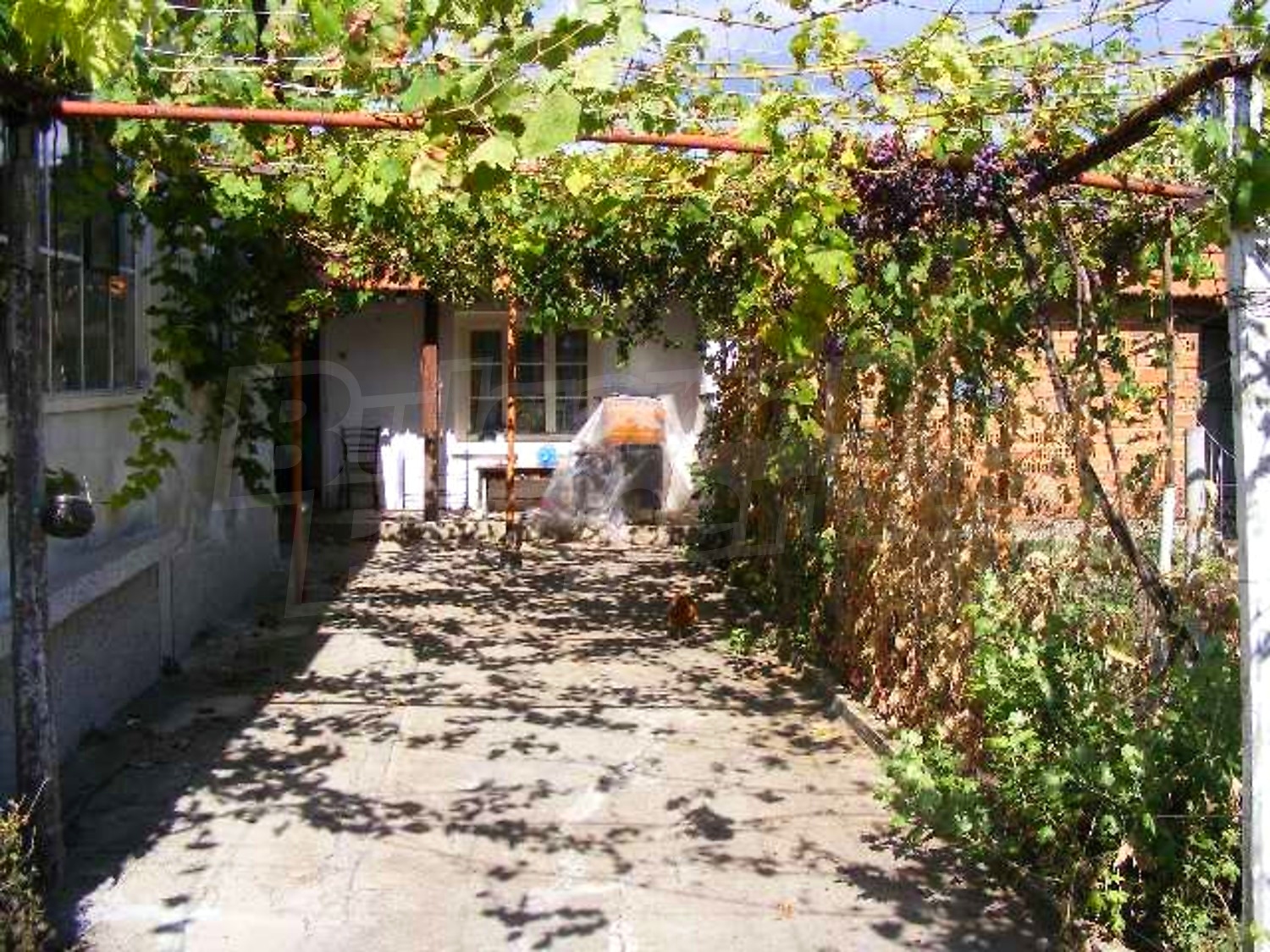 Gallery Picture 33