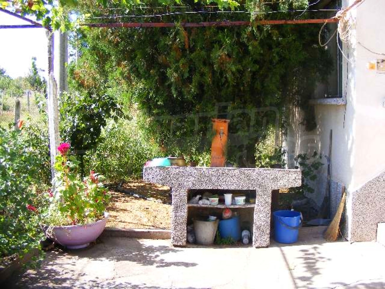 Gallery Picture 34