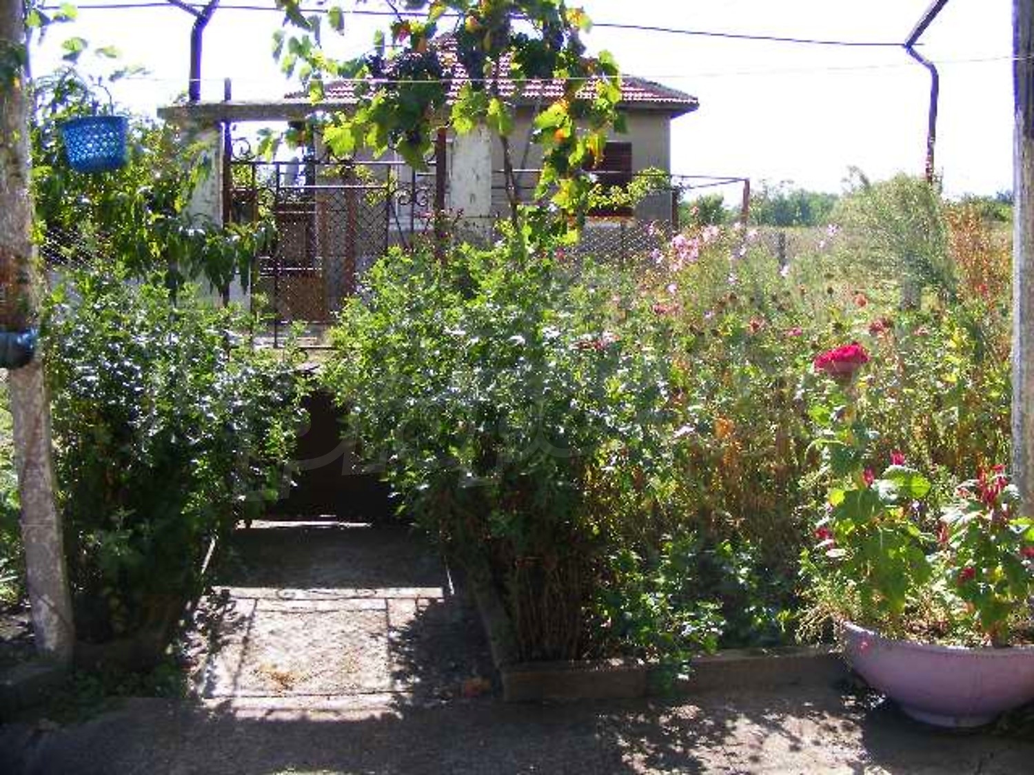 Gallery Picture 35