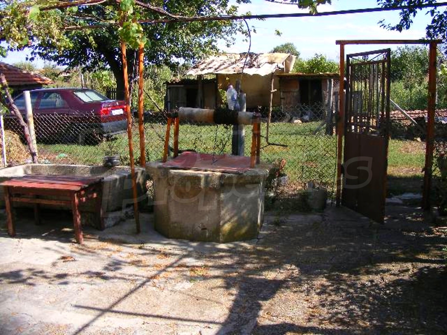 Gallery Picture 36