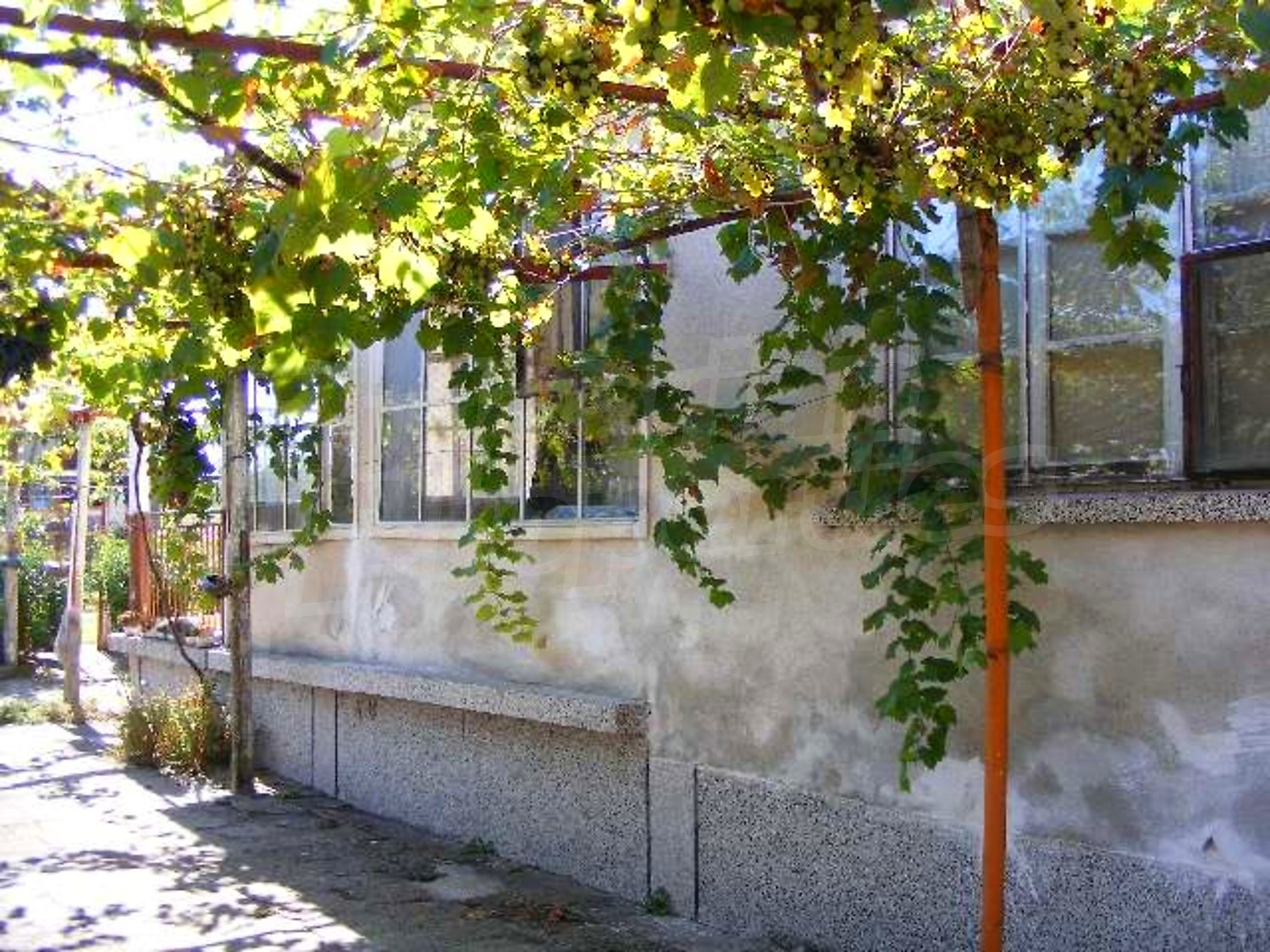 Gallery Picture 5