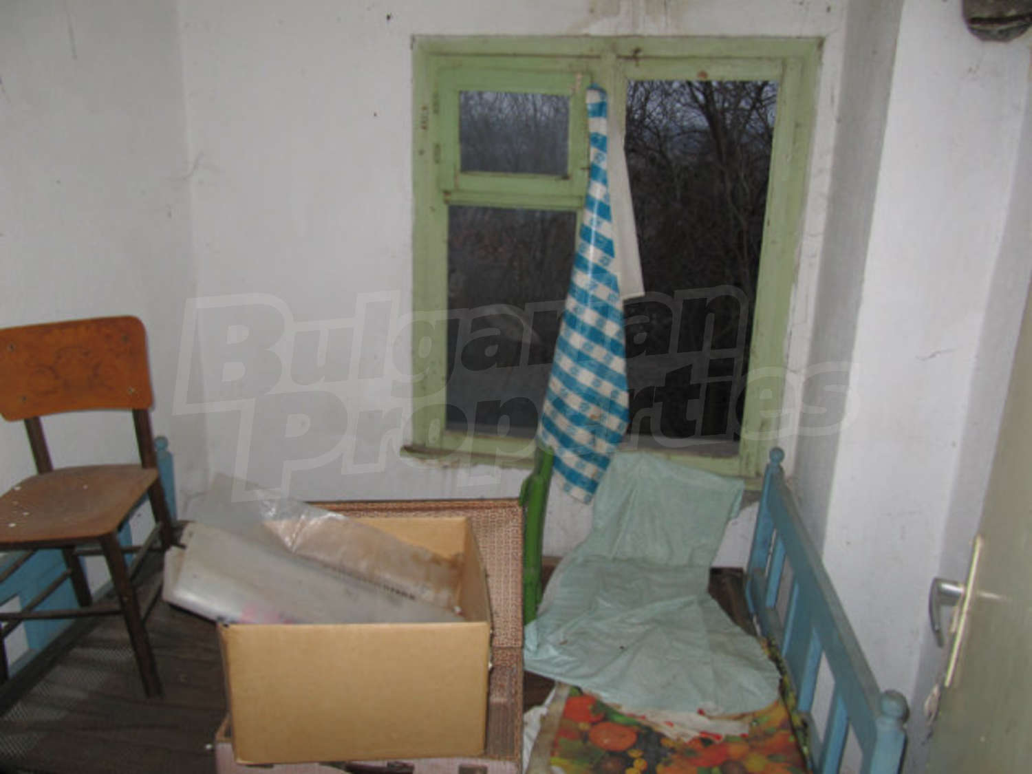 Gallery Picture 12