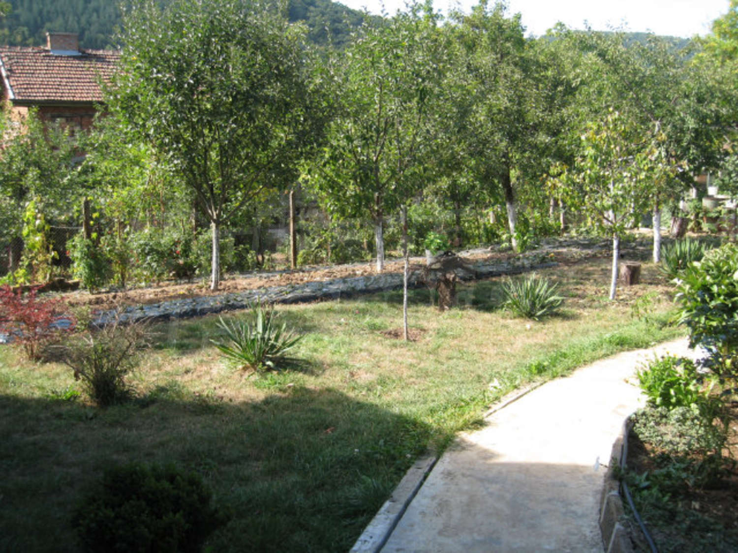 Gallery Picture 10