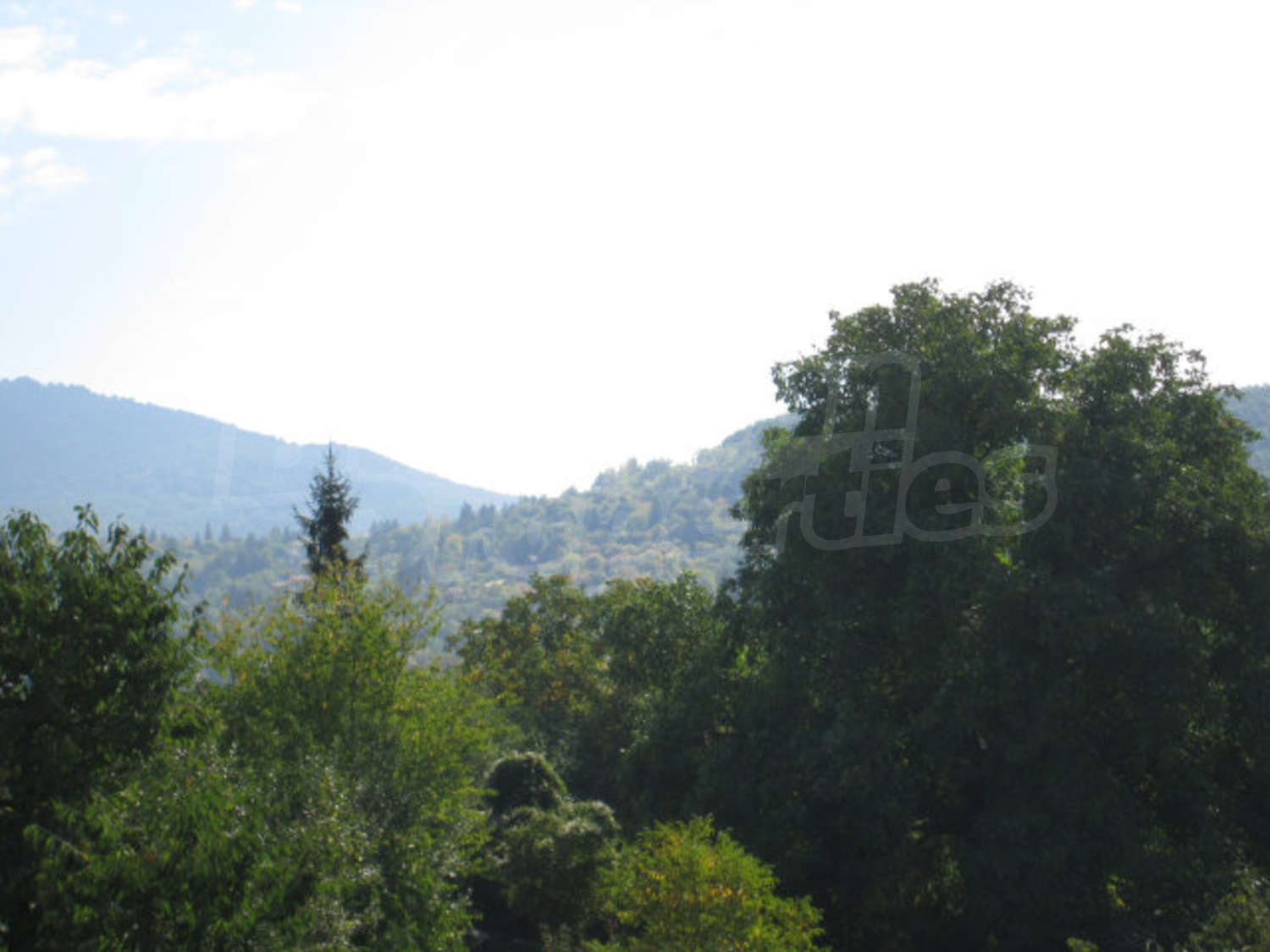 Gallery Picture 27