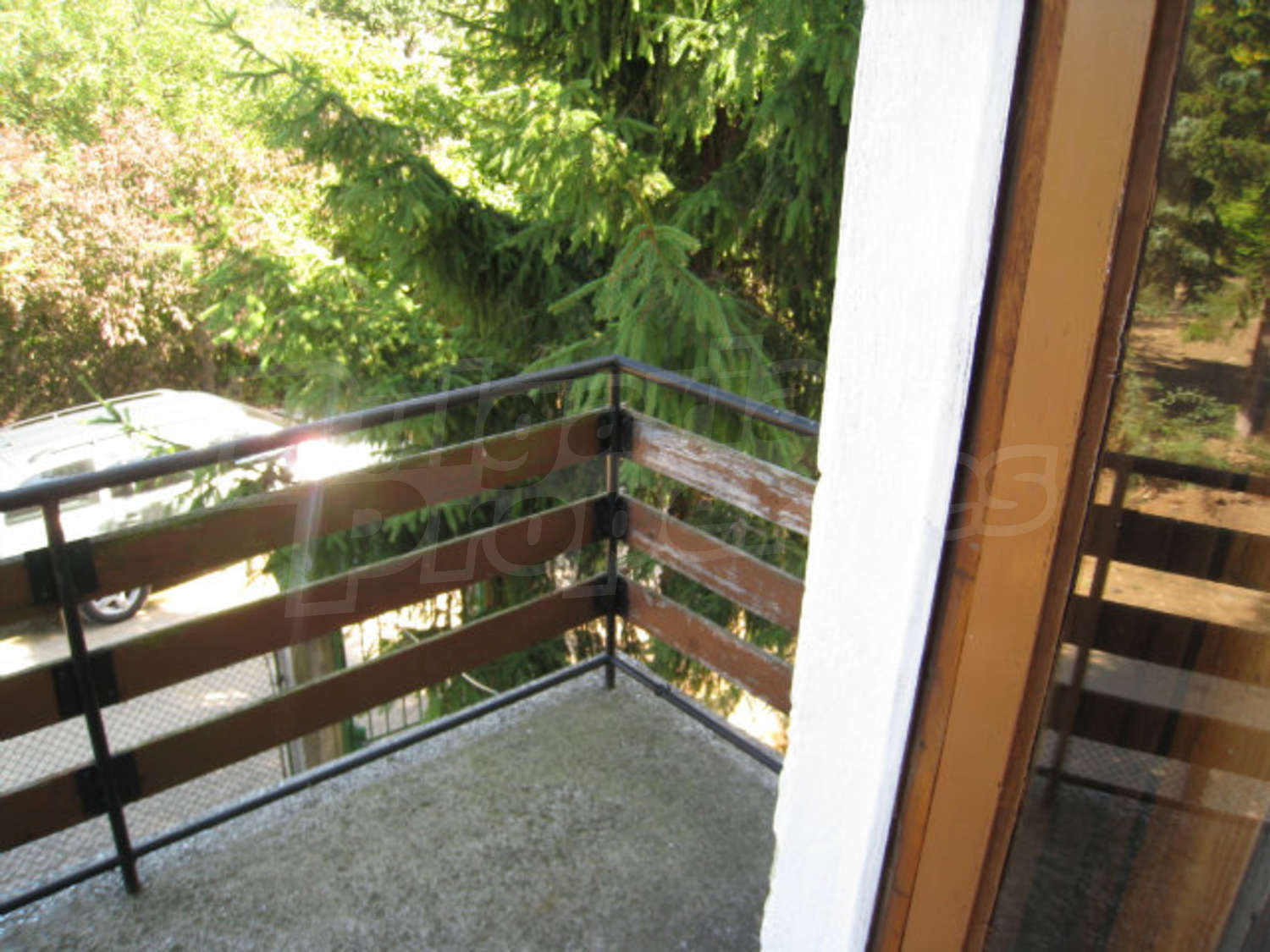 Gallery Picture 28