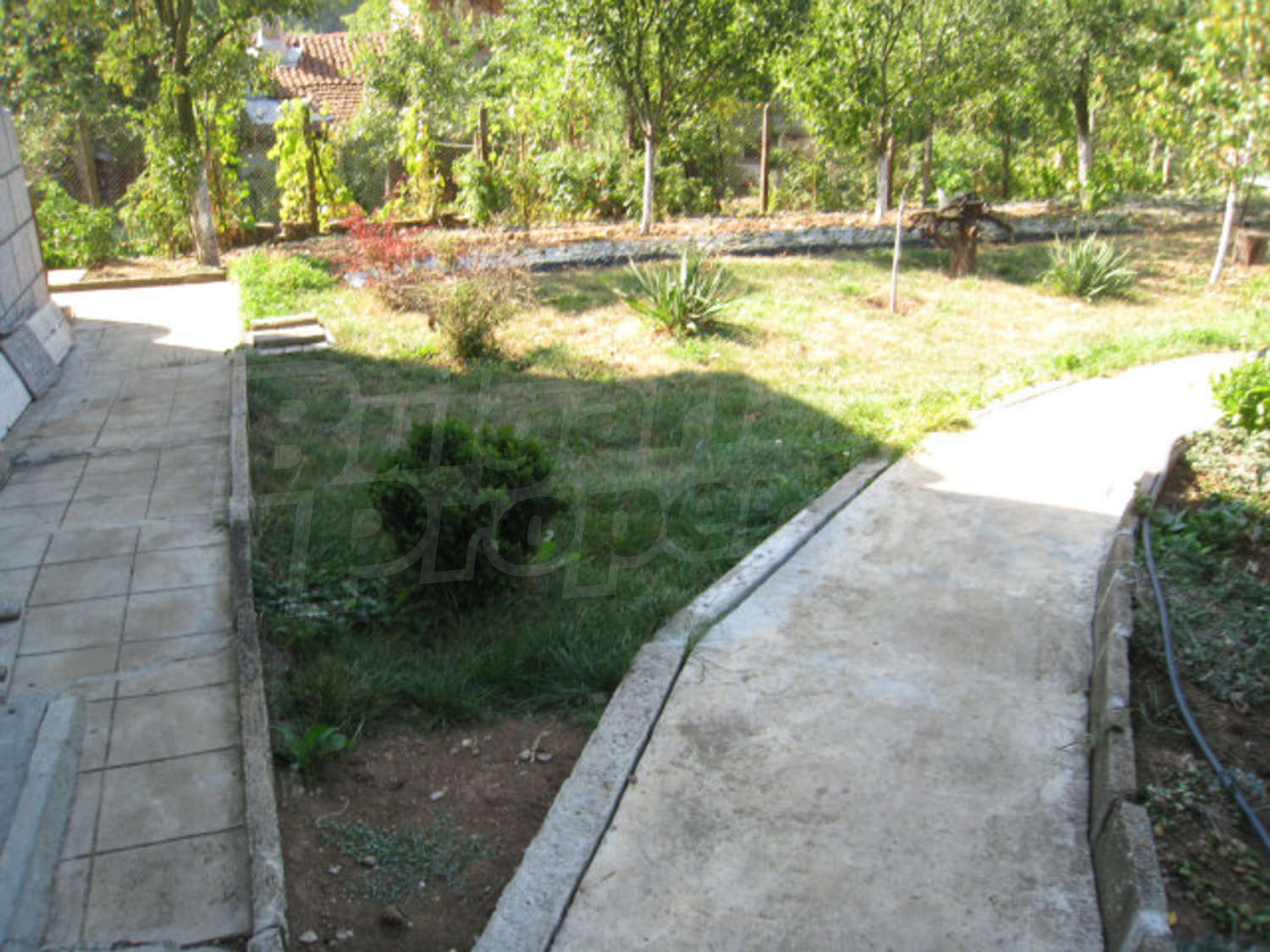 Gallery Picture 36