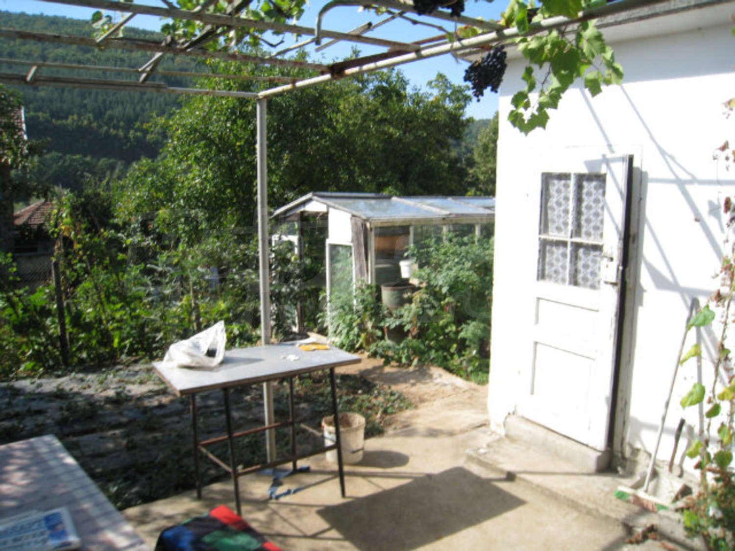 Gallery Picture 37
