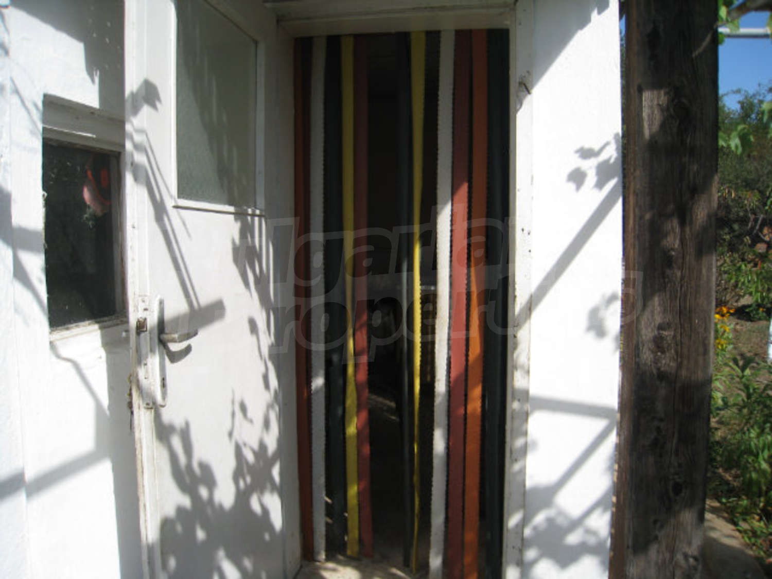 Gallery Picture 38