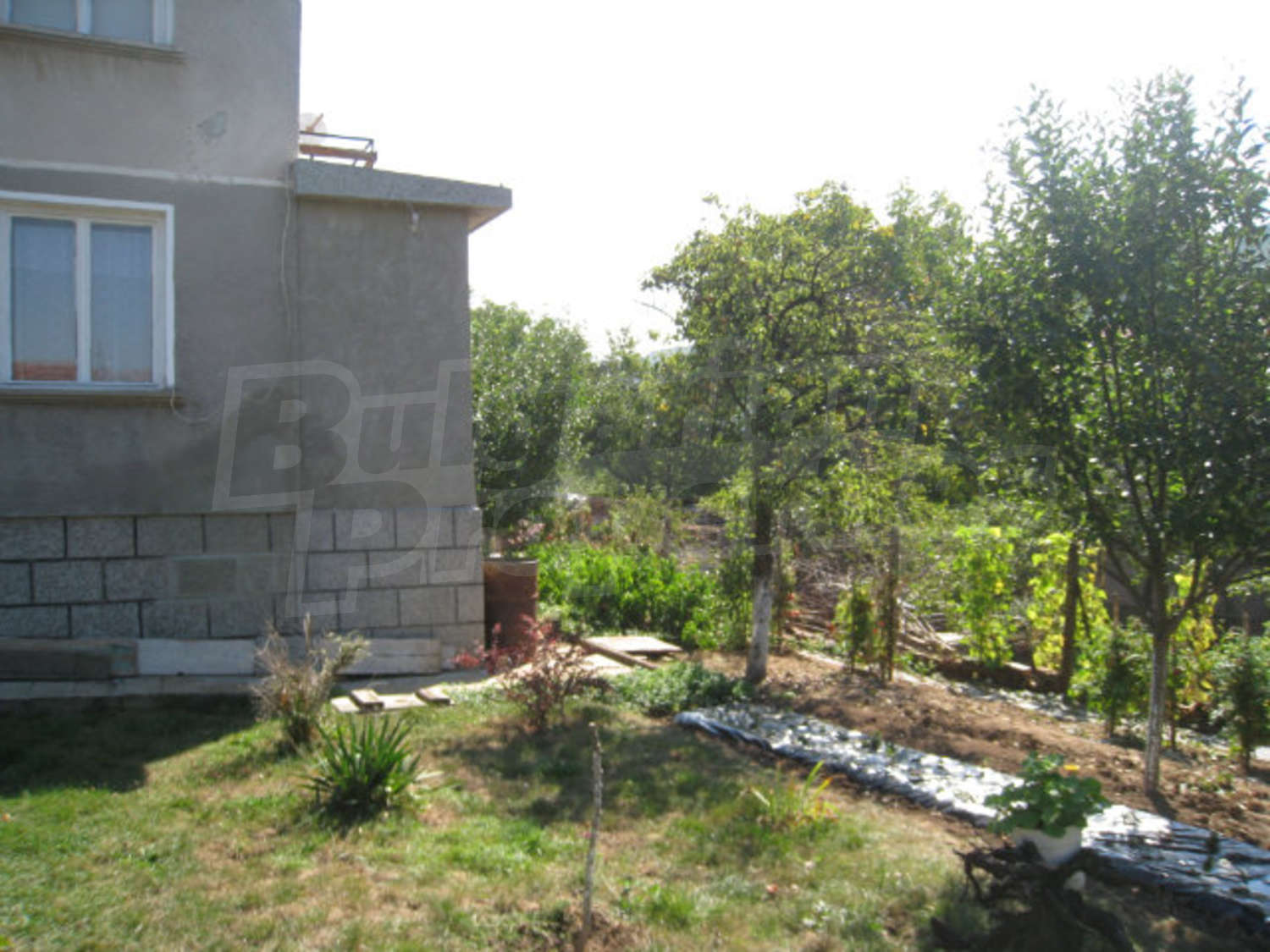 Gallery Picture 42