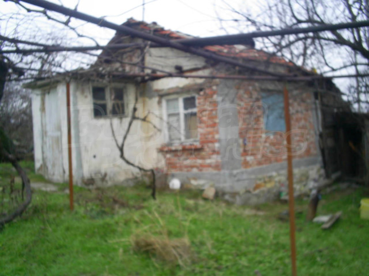 Gallery Picture 10