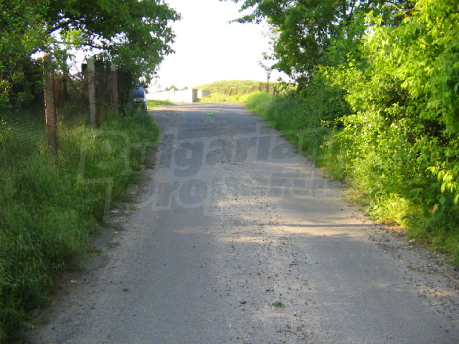 Gallery Picture 6