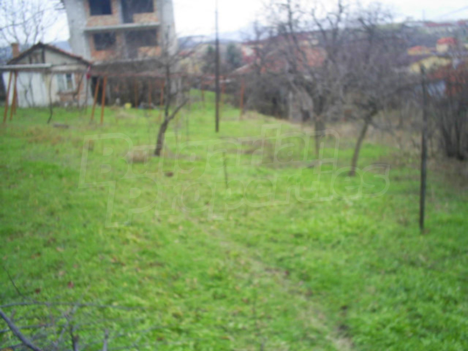 Gallery Picture 7