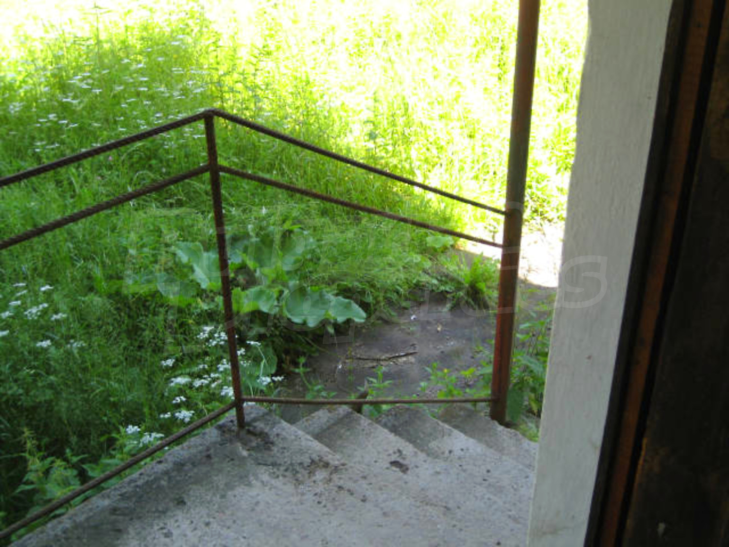 Gallery Picture 10