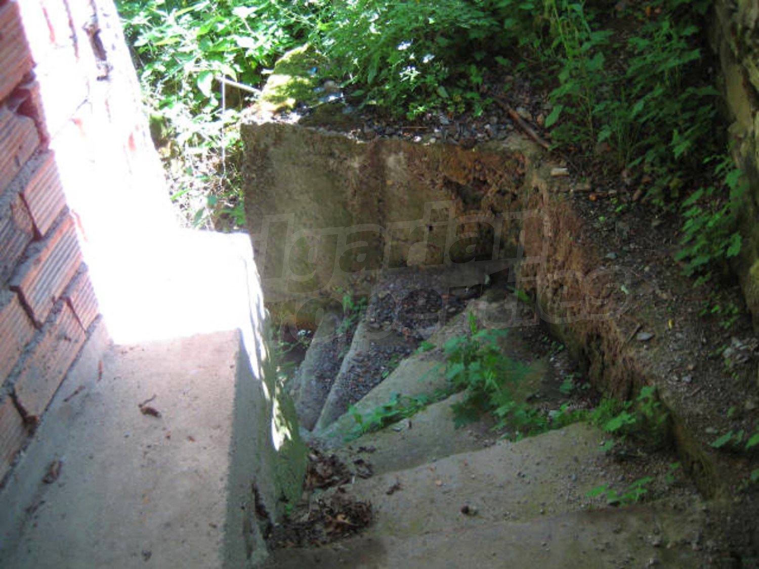 Gallery Picture 13