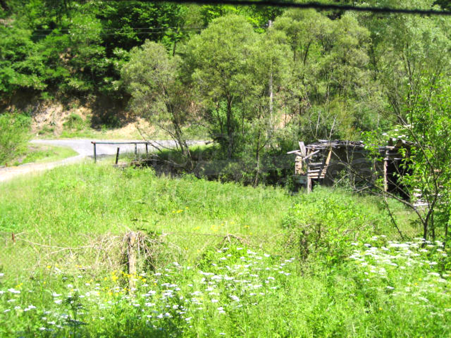 Gallery Picture 14
