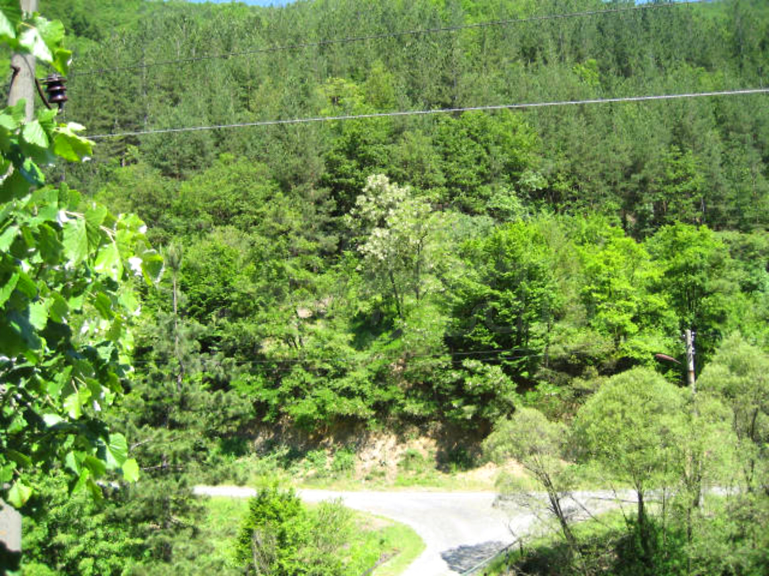 Gallery Picture 16