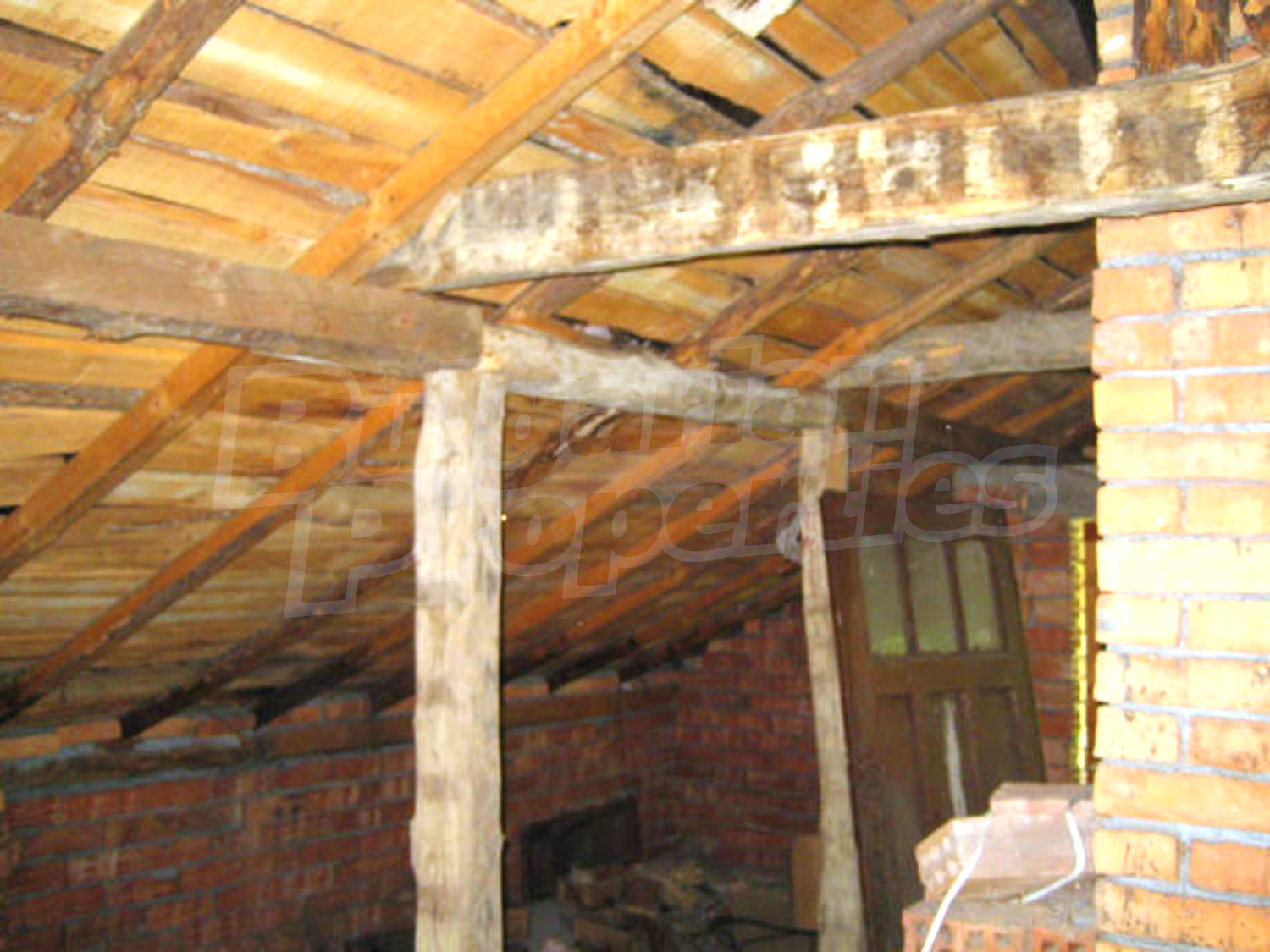 Gallery Picture 7