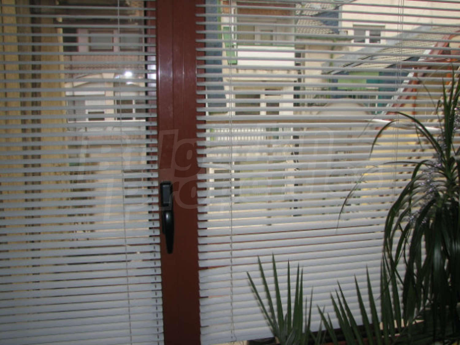 Gallery Picture 10
