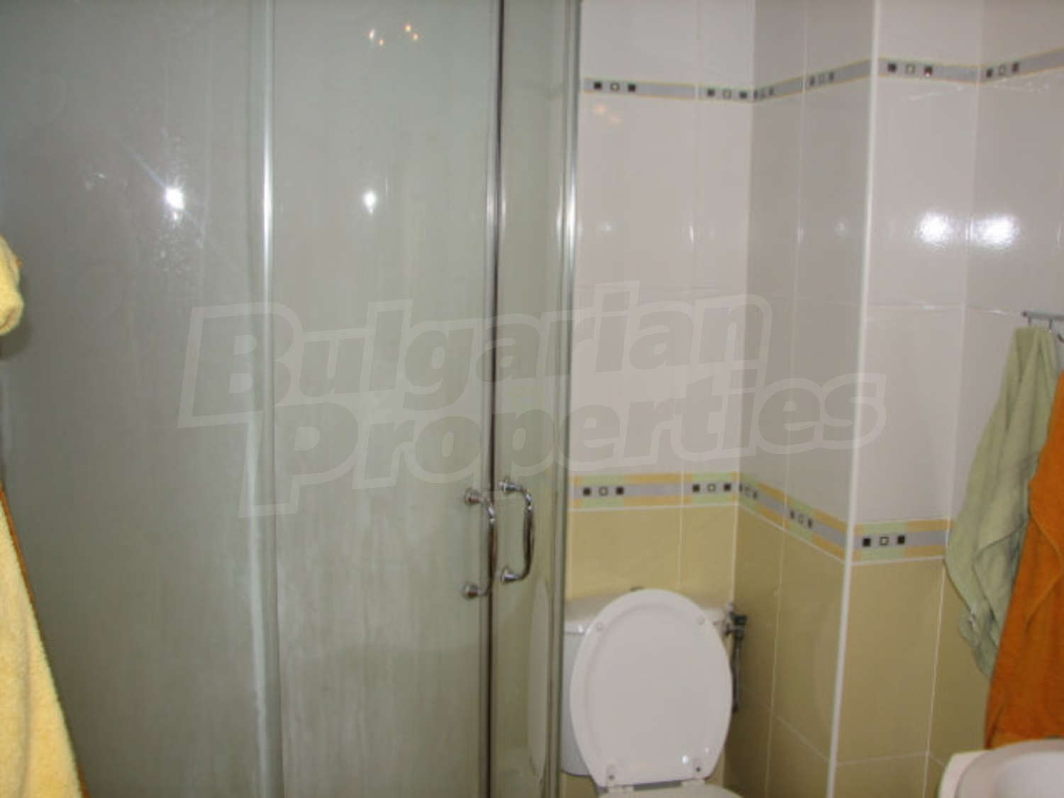 Gallery Picture 16