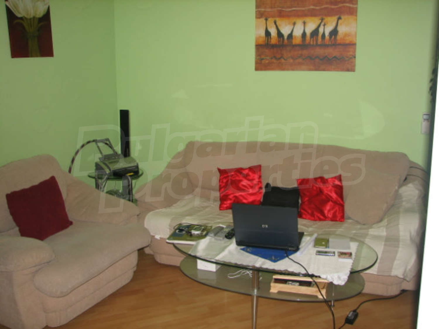 Gallery Picture 19