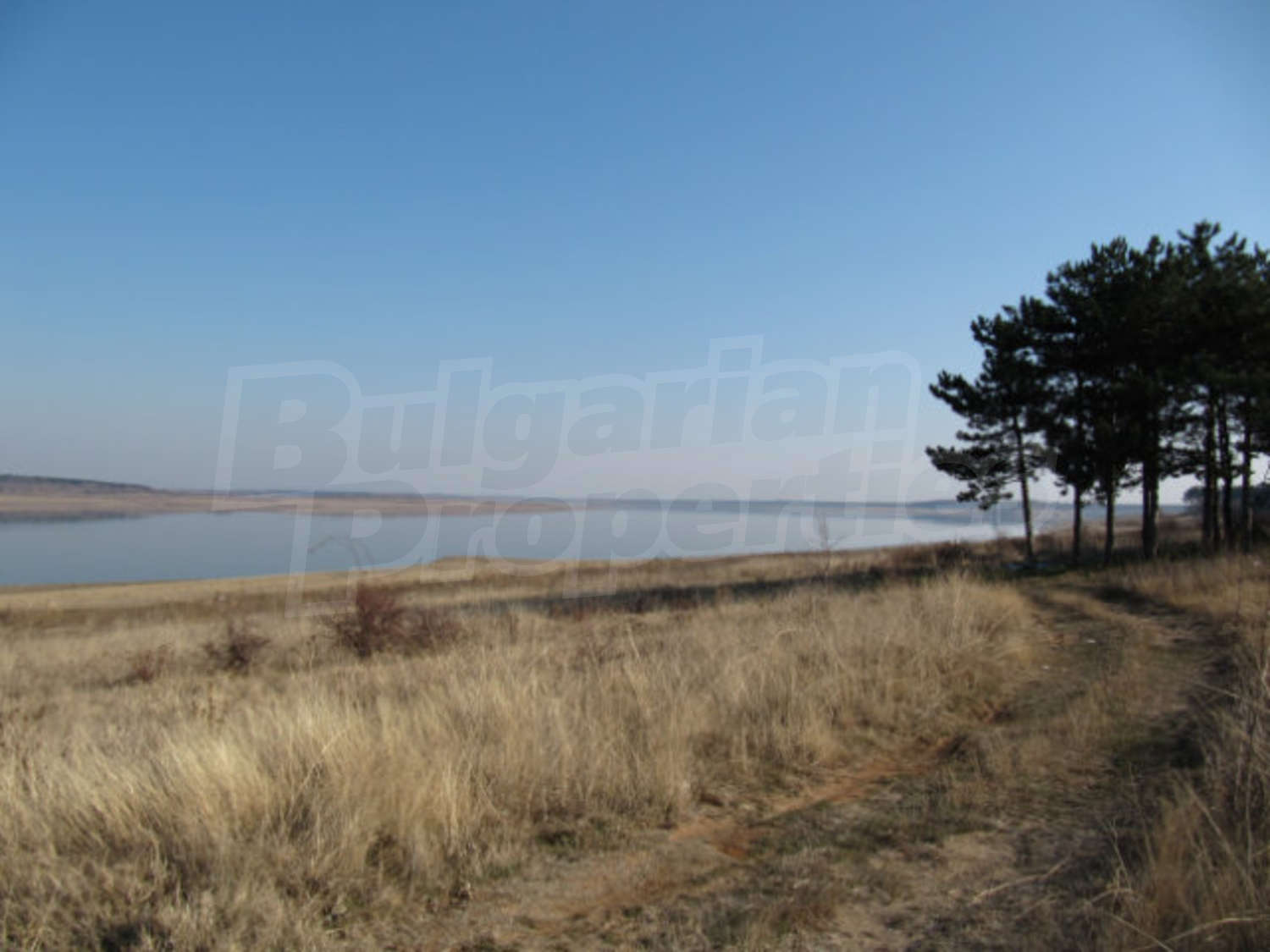Gallery Picture 38