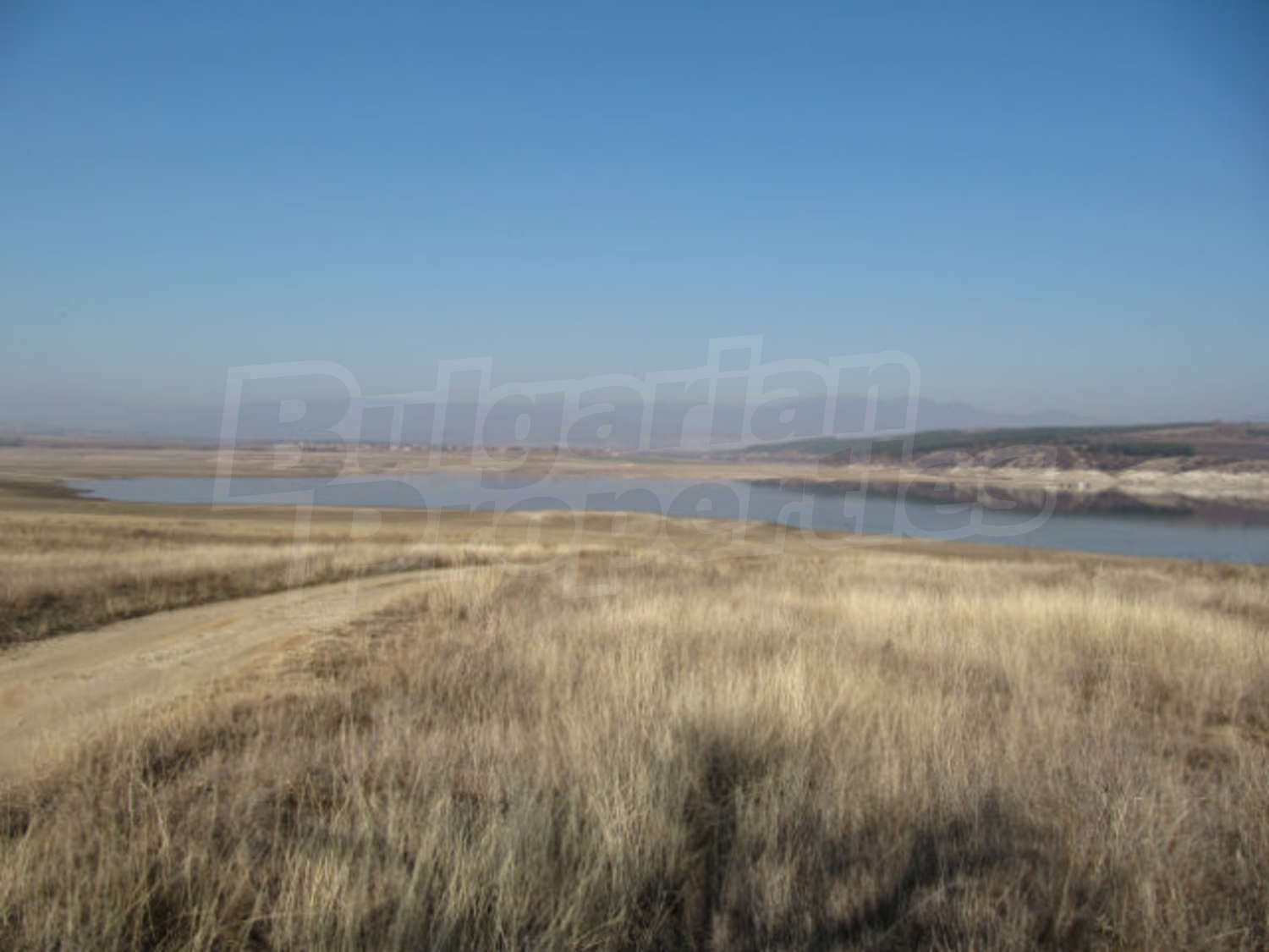 Gallery Picture 43