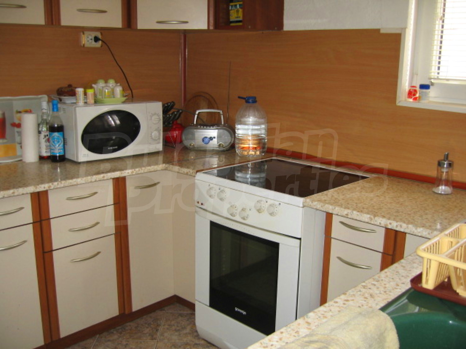 Gallery Picture 19