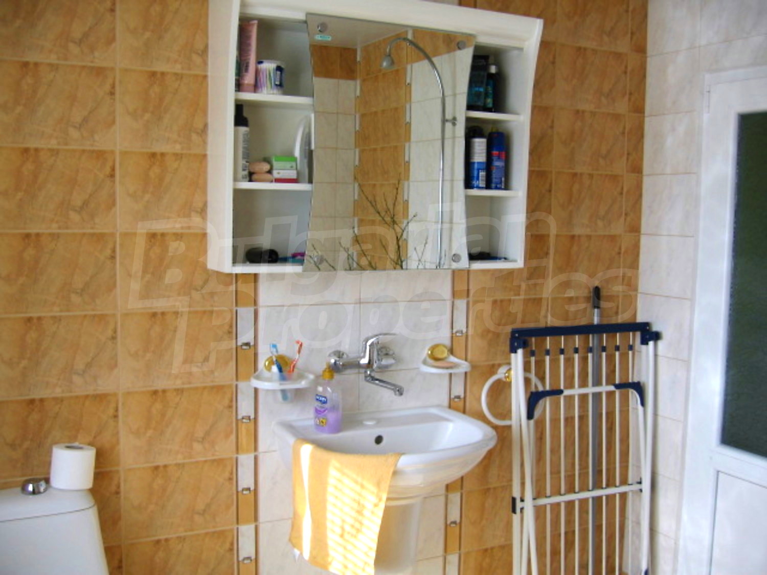 Gallery Picture 23