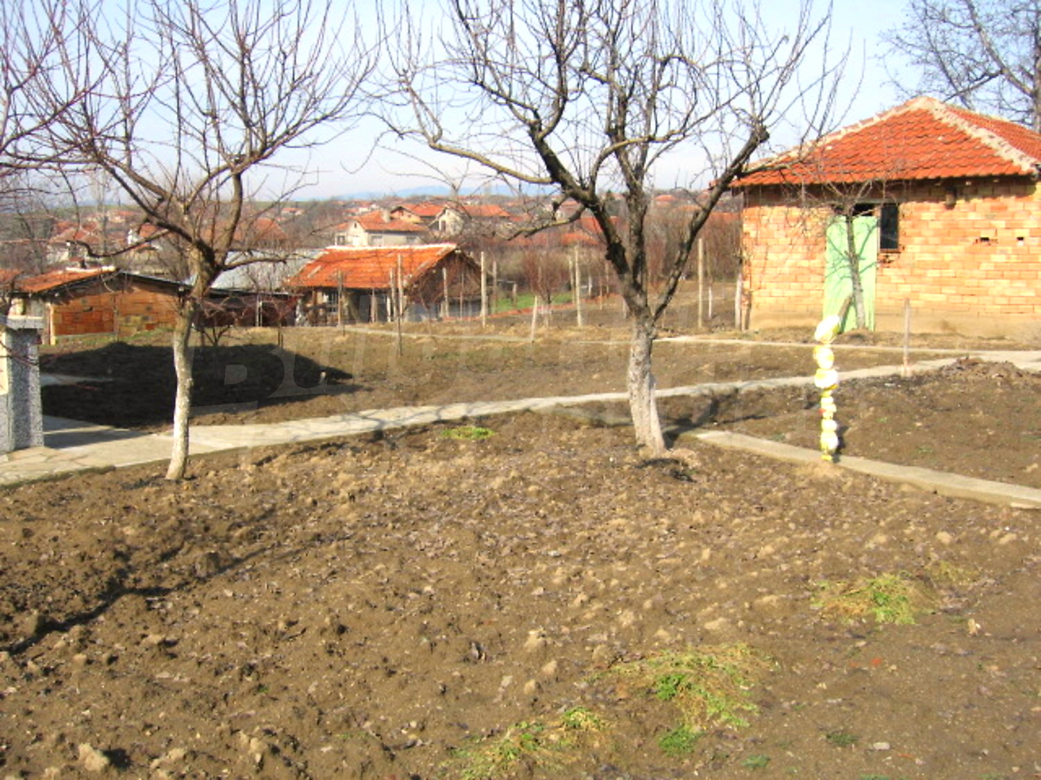 Gallery Picture 30